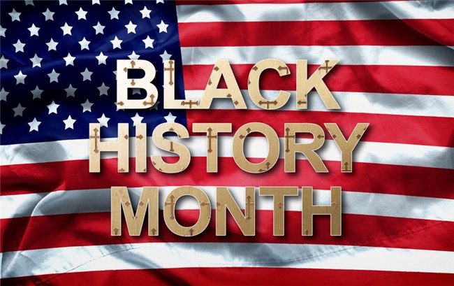 Black History Month U.S Flag