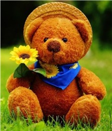 Teddy bear 225