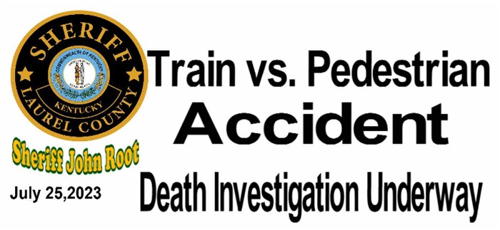 TRAIN VS PEDESTRAIN