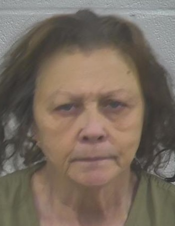 Shirley Roark age 65 Mugshot: https://www.clayconews.com/