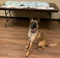 Drug Seizure Linn County OSP K9 10 11 24